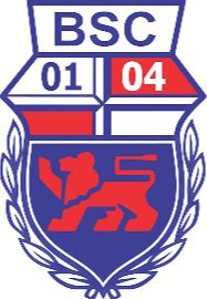 邦纳U19